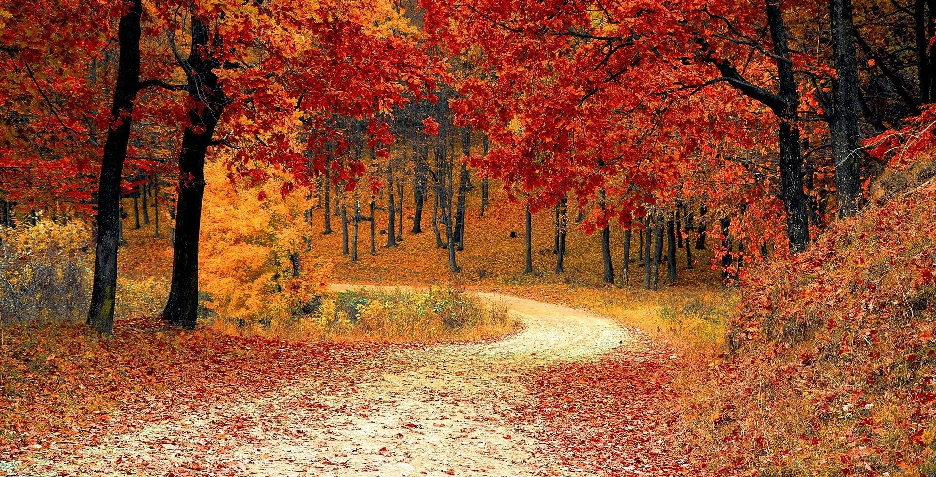 Toussaint automne
